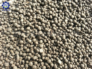 新型有機肥造粒機顆粒2